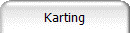 Karting